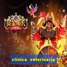 clinica veterinaria cuidar betim